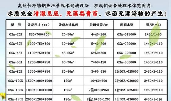 养鱼攻略（从零开始，让您成为鱼儿的贴心管家）